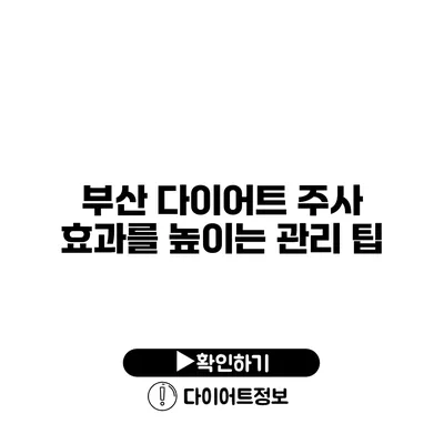 부산 다이어트 주사 효과를 높이는 관리 팁