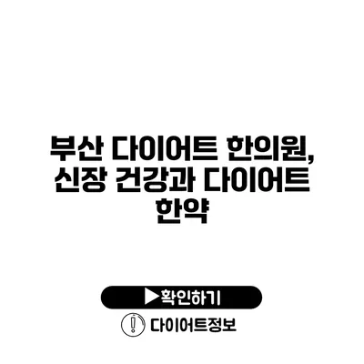 부산 다이어트 한의원, 신장 건강과 다이어트 한약