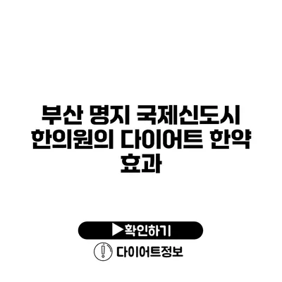 부산 명지 국제신도시 한의원의 다이어트 한약 효과