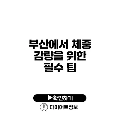 부산에서 체중 감량을 위한 필수 팁