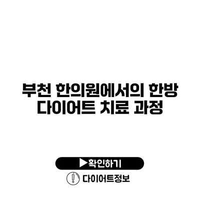 부천 한의원에서의 한방 다이어트 치료 과정