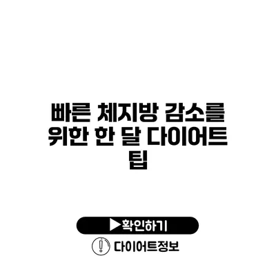 빠른 체지방 감소를 위한 한 달 다이어트 팁