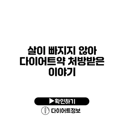 살이 빠지지 않아 다이어트약 처방받은 이야기