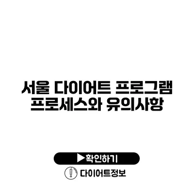 서울 다이어트 프로그램 프로세스와 유의사항