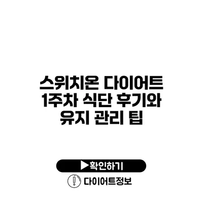 스위치온 다이어트 1주차 식단 후기와 유지 관리 팁