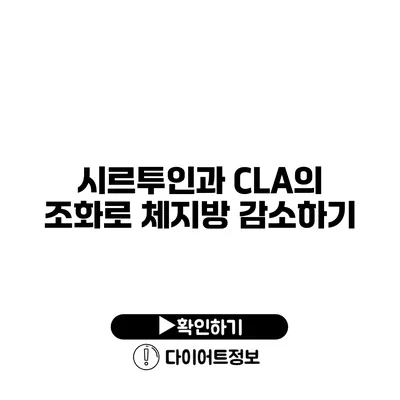 시르투인과 CLA의 조화로 체지방 감소하기