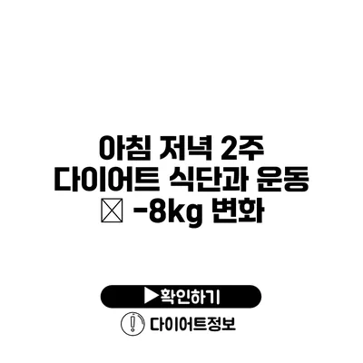 아침 저녁 2주 다이어트 식단과 운동 – -8kg 변화