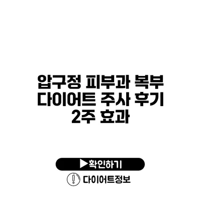 압구정 피부과 복부 다이어트 주사 후기 2주 효과