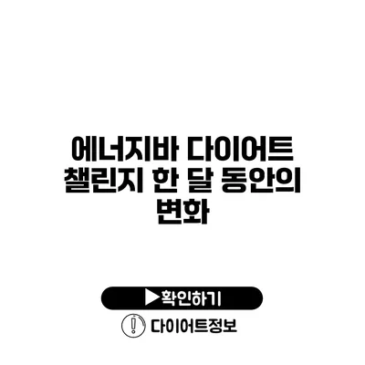 에너지바 다이어트 챌린지 한 달 동안의 변화