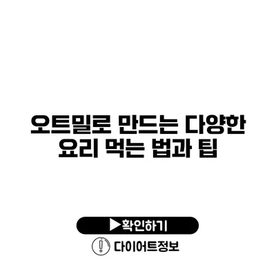 오트밀로 만드는 다양한 요리 먹는 법과 팁