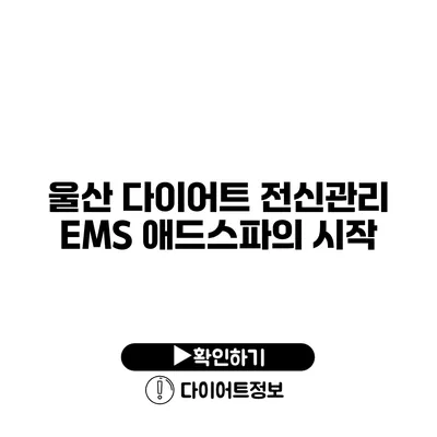 울산 다이어트 전신관리 EMS 애드스파의 시작