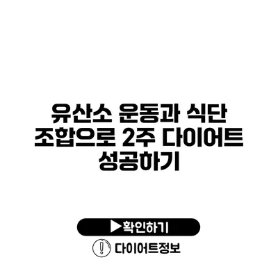 유산소 운동과 식단 조합으로 2주 다이어트 성공하기