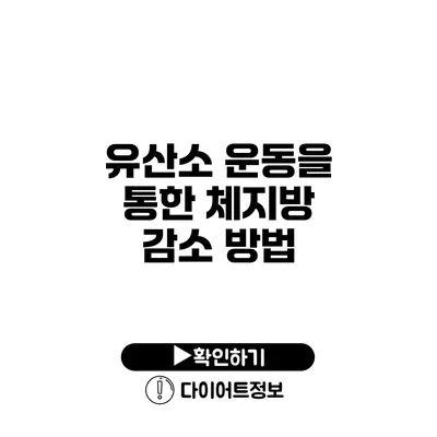 유산소 운동을 통한 체지방 감소 방법