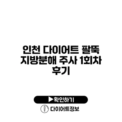 인천 다이어트 팔뚝 지방분해 주사 1회차 후기