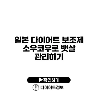 일본 다이어트 보조제 소우코우로 뱃살 관리하기