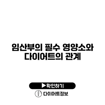 임산부의 필수 영양소와 다이어트의 관계