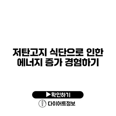 저탄고지 식단으로 인한 에너지 증가 경험하기