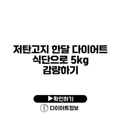 저탄고지 한달 다이어트 식단으로 5kg 감량하기