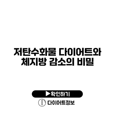 저탄수화물 다이어트와 체지방 감소의 비밀