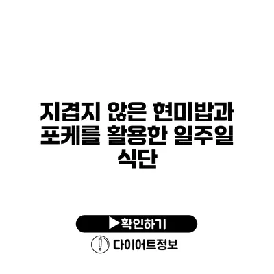 지겹지 않은 현미밥과 포케를 활용한 일주일 식단