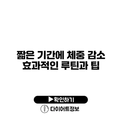 짧은 기간에 체중 감소 효과적인 루틴과 팁