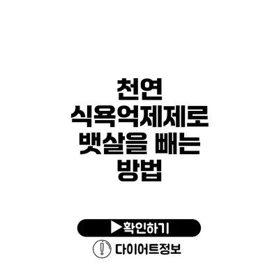 천연 식욕억제제로 뱃살을 빼는 방법