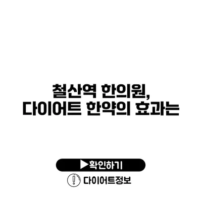 철산역 한의원, 다이어트 한약의 효과는?