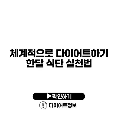 체계적으로 다이어트하기 한달 식단 실천법