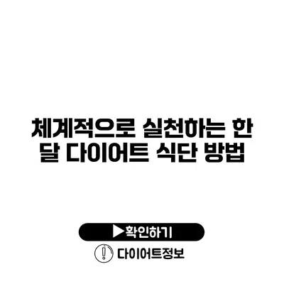 체계적으로 실천하는 한 달 다이어트 식단 방법