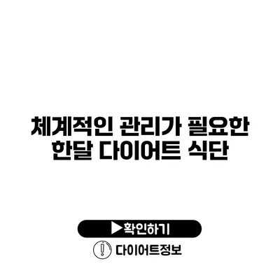 체계적인 관리가 필요한 한달 다이어트 식단