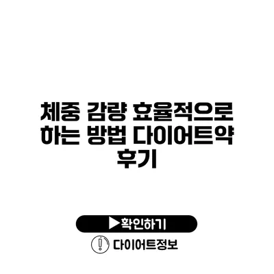 체중 감량 효율적으로 하는 방법 다이어트약 후기