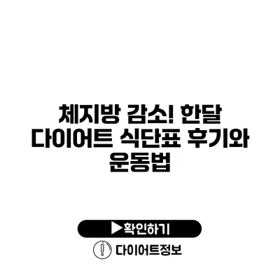 체지방 감소! 한달 다이어트 식단표 후기와 운동법