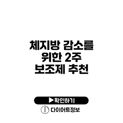 체지방 감소를 위한 2주 보조제 추천