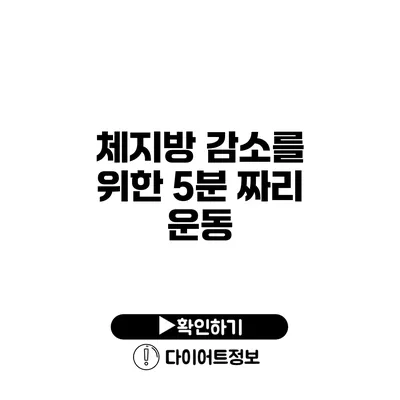 체지방 감소를 위한 5분 짜리 운동