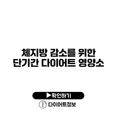 체지방 감소를 위한 단기간 다이어트 영양소