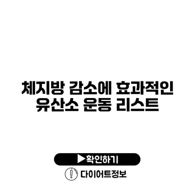 체지방 감소에 효과적인 유산소 운동 리스트