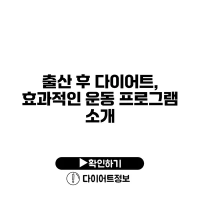 출산 후 다이어트, 효과적인 운동 프로그램 소개