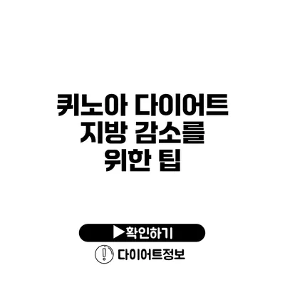 퀴노아 다이어트 지방 감소를 위한 팁