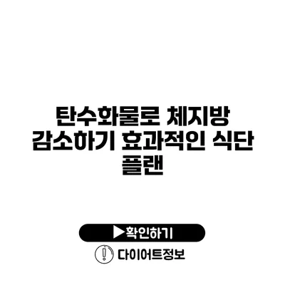 탄수화물로 체지방 감소하기 효과적인 식단 플랜