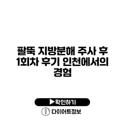 팔뚝 지방분해 주사 후 1회차 후기 인천에서의 경험