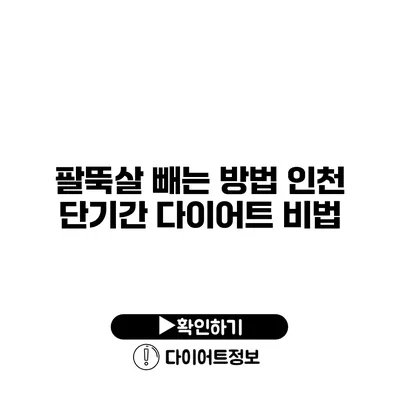 팔뚝살 빼는 방법 인천 단기간 다이어트 비법