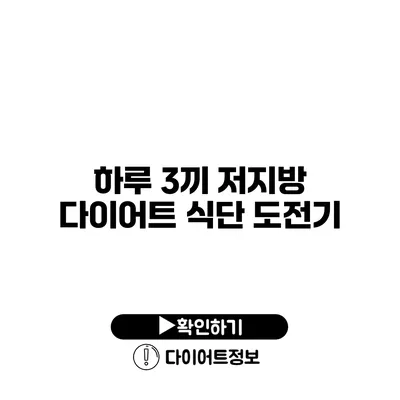 하루 3끼 저지방 다이어트 식단 도전기