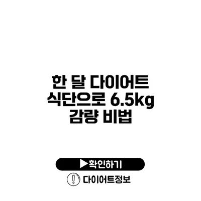 한 달 다이어트 식단으로 6.5kg 감량 비법