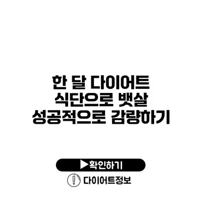 한 달 다이어트 식단으로 뱃살 성공적으로 감량하기