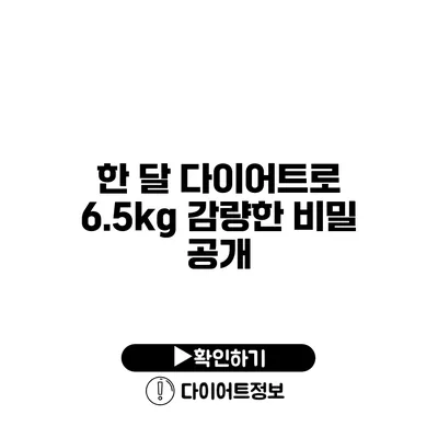 한 달 다이어트로 6.5kg 감량한 비밀 공개