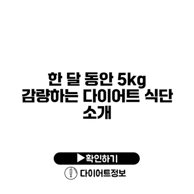 한 달 동안 5kg 감량하는 다이어트 식단 소개