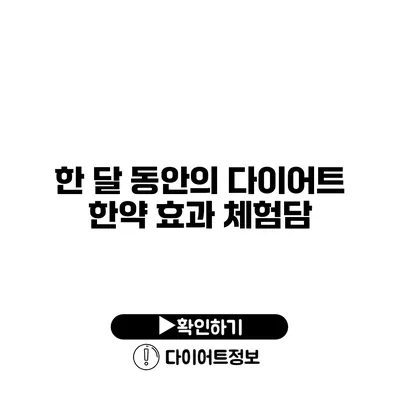 한 달 동안의 다이어트 한약 효과 체험담