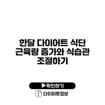 한달 다이어트 식단 근육량 증가와 식습관 조절하기