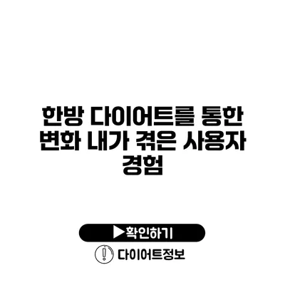 한방 다이어트를 통한 변화 내가 겪은 사용자 경험