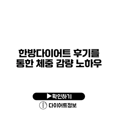 한방다이어트 후기를 통한 체중 감량 노하우